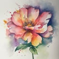 Watercolors flower