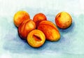 Still life with hand-painted watercolor, yellow apricots on a blue background. Royalty Free Stock Photo