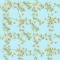 Watercolorseamless pattern with pastel small flowers chamomile drawn by hand. ÃÂ¡ellular ornament on a bright blue