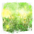 Watercolour background of green grass image