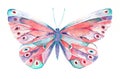 Watercolour butterfly with vibrant colours