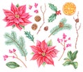 Watercolour Christmas botanical collection. Royalty Free Stock Photo