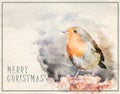 Watercolour Christmas card with Robin