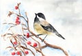 Watercolour Cute Coal Tit Bird Painting Illustration