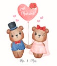 Watercolour cute two couple Wedding brown teddy bears in groom and bride hold hand, Mr. and Mrs., cartoon character hand drawing