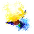 Watercolour doves birds flying, colourful vector painting. Birds flight