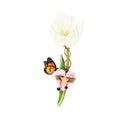 Watercolour Drawing Of A White Tulip In Full Blossom With A Wooden Heart And A Butterfly. Gentle Isolated Flower On A