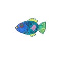 Watercolour fish, great design for any purposes