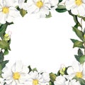 Watercolour floral frame with white flowers edging