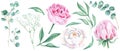 Watercolour floral set isolated on white background. White and pink peonies, green leaves, eucalyptus and gypsophila Royalty Free Stock Photo