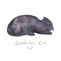 Watercolour gray black cat isolated on white background. Cute simple animal hand drawn. Illustration style. Sign or Royalty Free Stock Photo