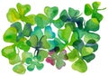 Watercolour hand drawn clover leaves template