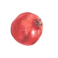 Watercolour hand painted illustration of pomegranate Royalty Free Stock Photo