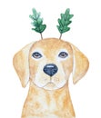 Watercolour illustration of beautiful Labrador dog wearing oak leaf horn headband.