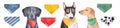 Watercolour illustration set of festive dogs of various breed and colorful triangular bandanas with little doggy quotes. Royalty Free Stock Photo
