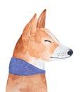 Watercolour illustration of smiling Basenji Dog wearing wide dark purple collar.