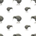 Watercolour kiwi bird seamless pattern. Hand drawn illustration isolated on white Royalty Free Stock Photo