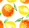 Watercolour lime and lemon fruit illustration.
