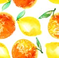 Watercolour orange and lemon fruit illustration. Royalty Free Stock Photo