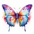 Watercolour Painted Butterfly Illustration Splatter Design