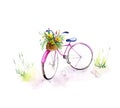 Watercolour painted illustration. Isolation on white pink bicycle with flowers on countryside road with grass.