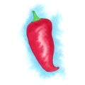 Red Hot Chillie Pepper Watercolour