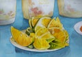 A watercolour painting of a slices of ripe juicy oranges for Tequila shots