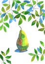 Watercolour pear