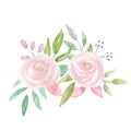 Watercolour Pink White Bouquet Garland Flower Hand Painted Summer Royalty Free Stock Photo