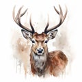 Watercolour Portrait Of Deer Head: Characterized Animals In Dripping Paint