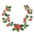 Watercolour raspberry wreath isolated on white