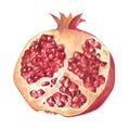 Watercolour ripe pomegranate piece Royalty Free Stock Photo