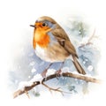 Watercolour of a robin redbreast bird in the winter snow Royalty Free Stock Photo