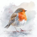 Watercolour of a robin redbreast (Erithacus rubecula) bird in the winter snow