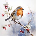 Watercolour of a robin redbreast (Erithacus rubecula) bird in the winter snow