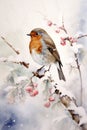 Watercolour of a robin redbreast (Erithacus rubecula) bird in the winter snow