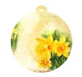 Watercolour round beige label with yellow narcissus, spring flowers, old paper texture, hand drawn sketch
