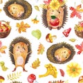 Watercolour seamless pattern with animals and flowers.Cute watercolor cartoon hedgehog