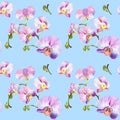 Watercolour seamless pattern with flowers and leaf of orchid on blue background. Hand draw illustration