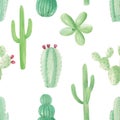 Watercolour Succulents Hand Painted Cactus Flower Seamless Repeat Pattern