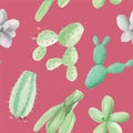 Watercolour Succulents Hand Painted Cactus Flower Seamless Repeat Pattern