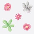 Watercolour Succulents Hand Painted Cactus Flower Seamless Repeat Pattern