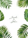Watercolor tropical leaves border with palm foliage on white background. Modern exotic plants frame for wedding, invitations