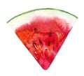 Watercolour watermelon illustration. Hand drawn watermelon slice. Fresh watermelon. Bright and fresh illustration