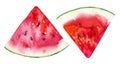 Watercolour watermelon illustration. Hand drawn watermelon slice. Fresh watermelon. Bright and fresh illustration