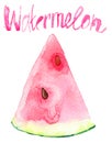 Watercolour watermelon slice