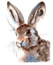 Watercolour Cute Hare Portrait Woodland Animal Painting Illustration