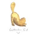 Watercolour yellow cat isolated on white background. Cute simple animal hand drawn. Illustration style. Sign or symbol Royalty Free Stock Photo