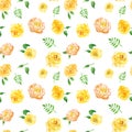 Watercolour yellow flowers print. Roses seamless pattern on white background. Spring illustration Royalty Free Stock Photo