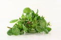 Watercress